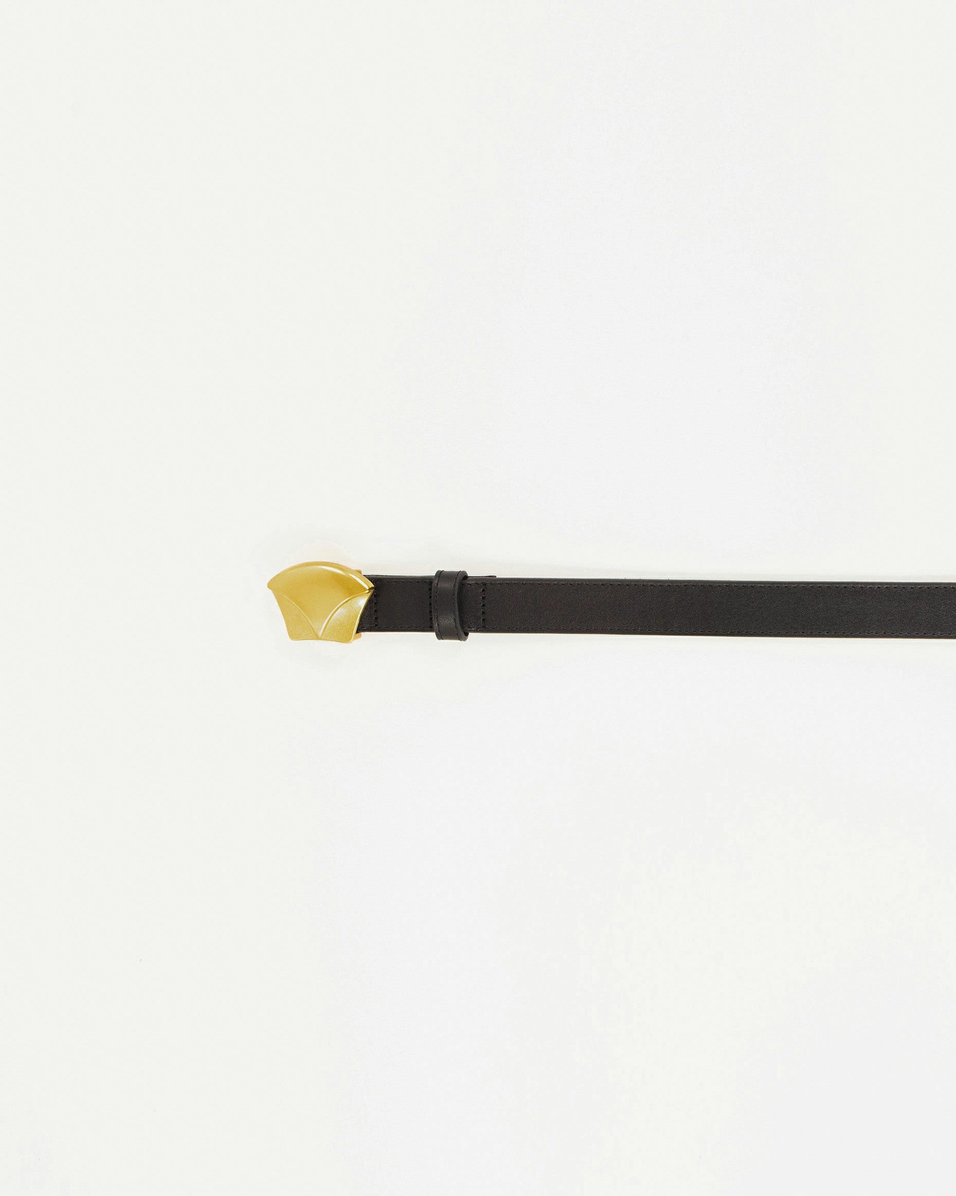 DIVILUZ Black - Belt