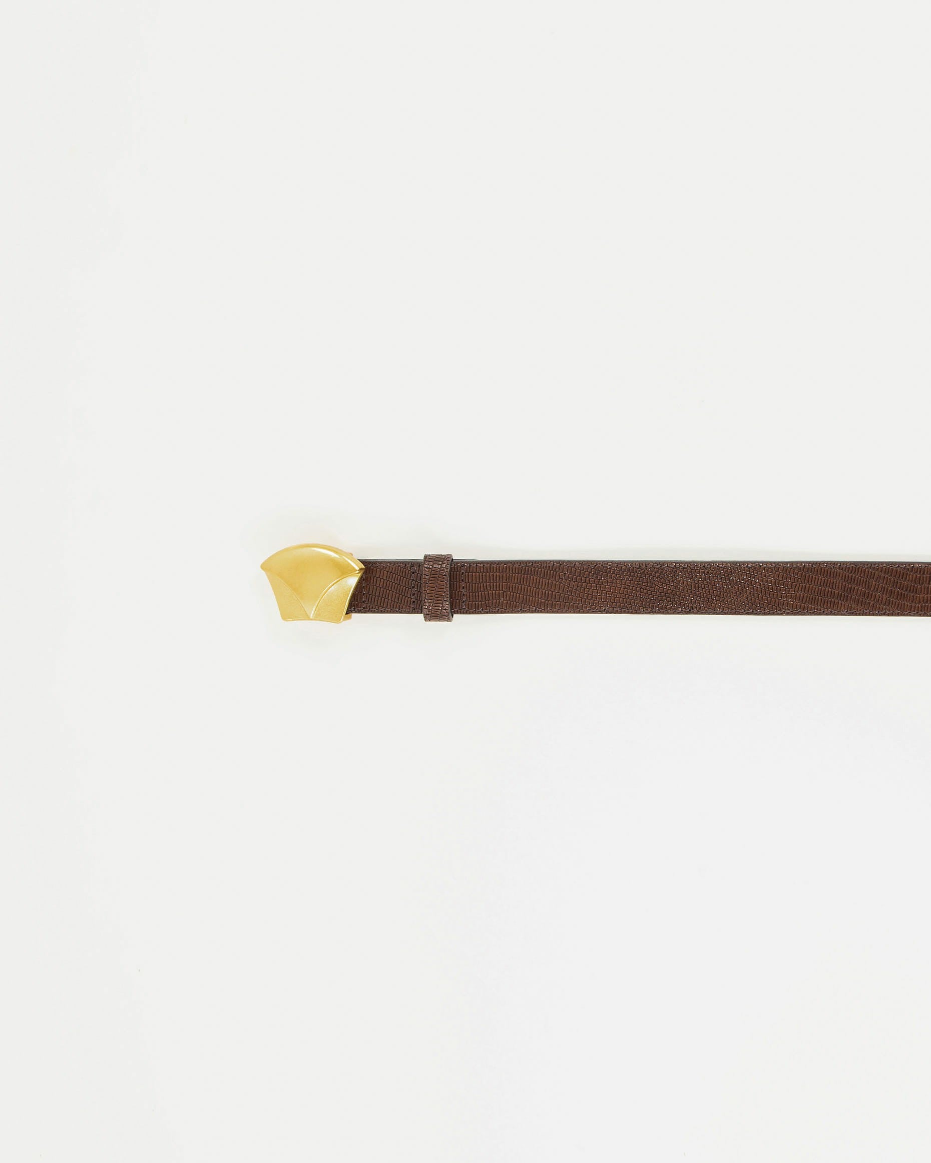 DIVILUZ Browny Lezard - Belt