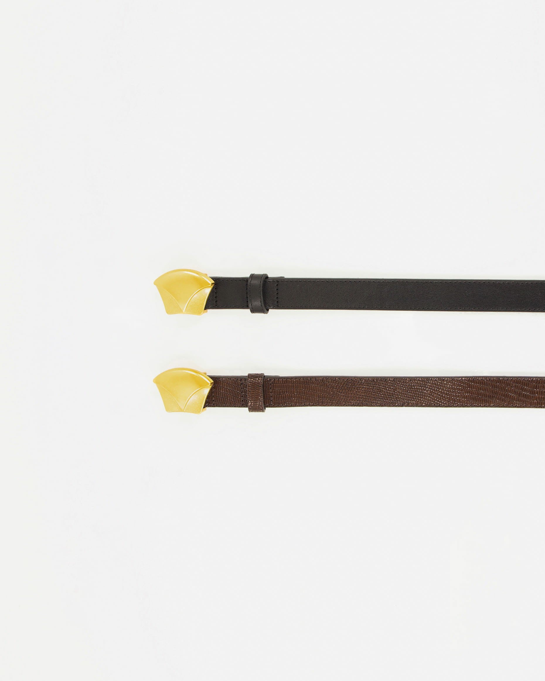 DIVILUZ Browny Lezard - Belt