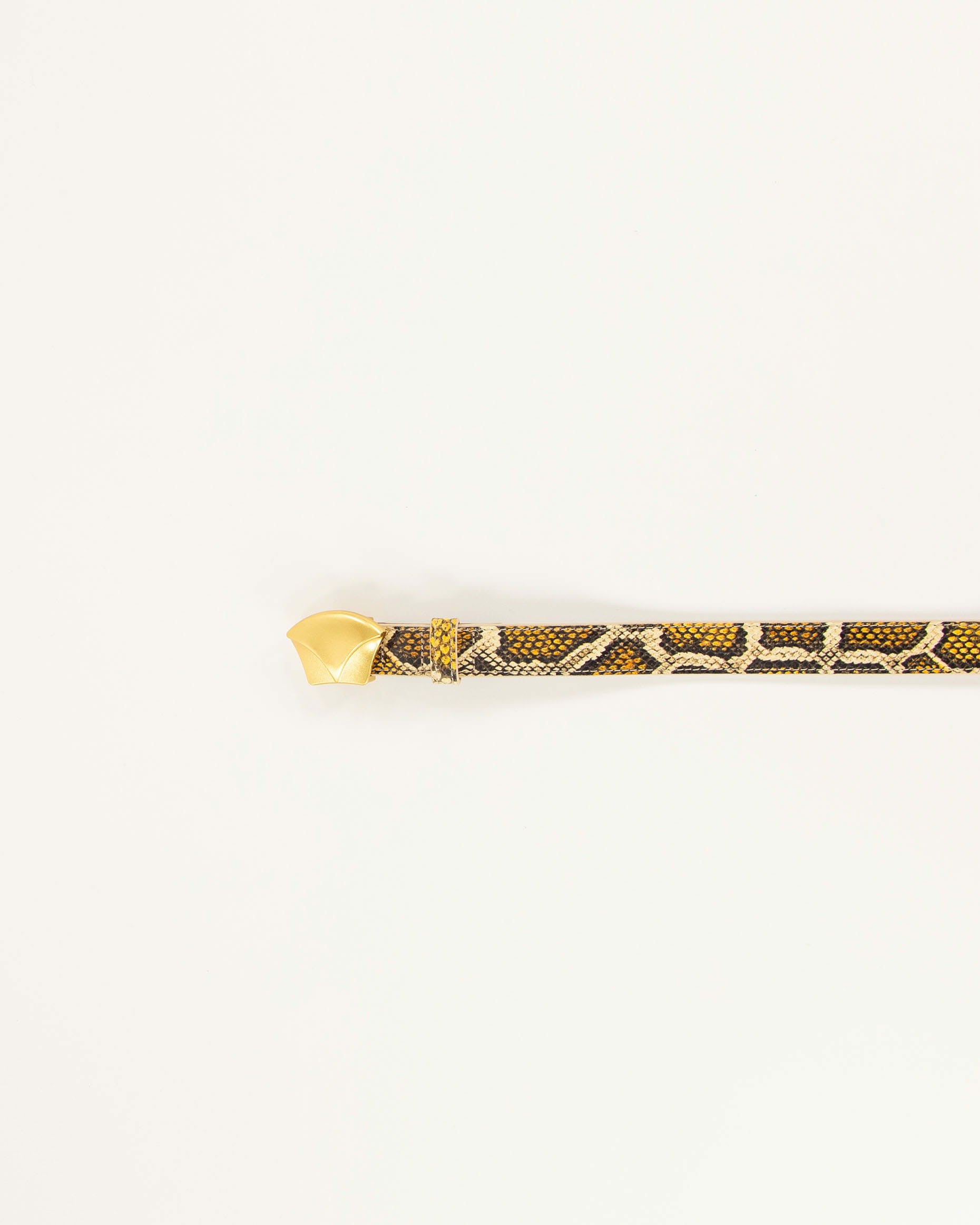 DIVILUZ Yellow Python - Belt
