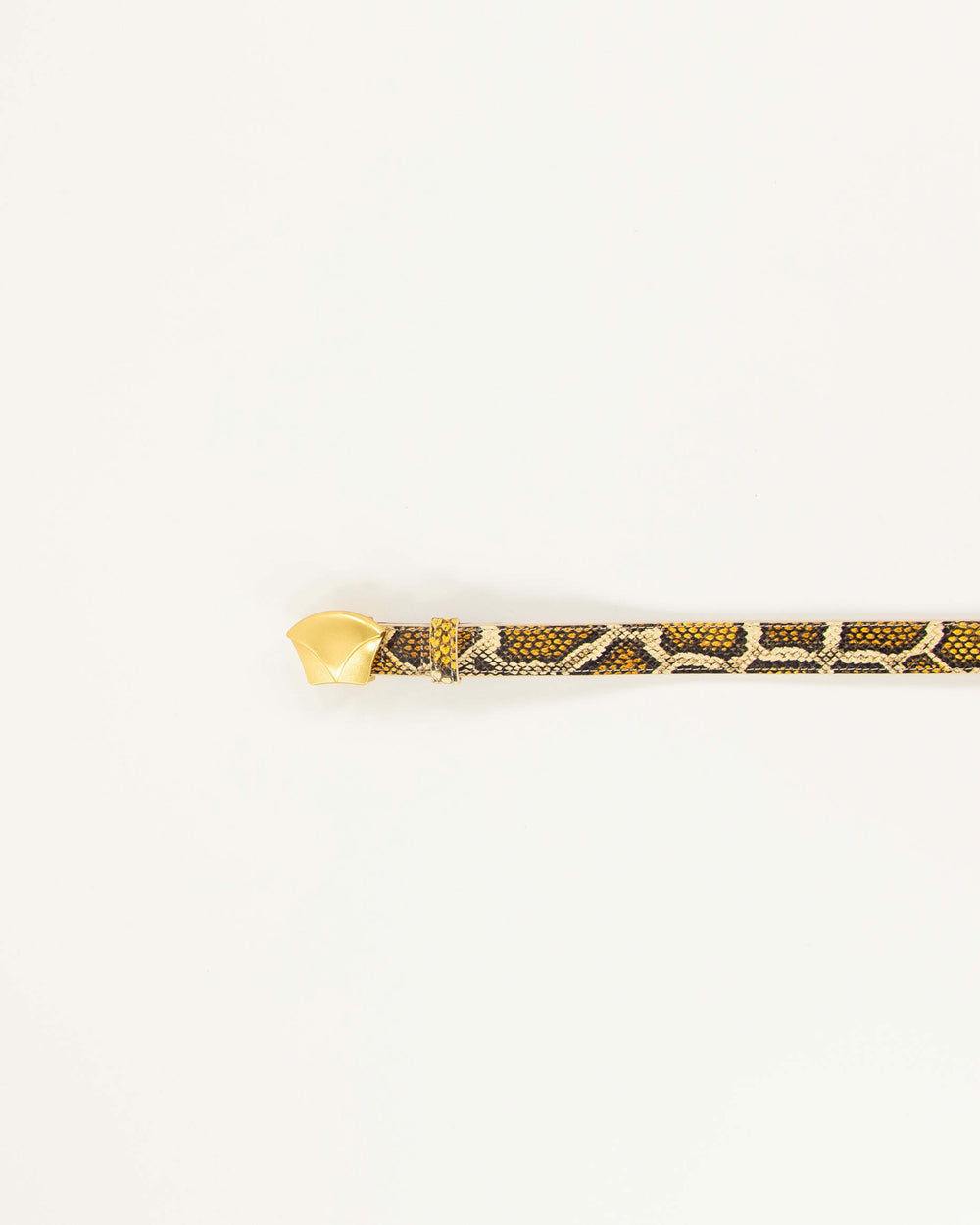 DIVILUZ Yellow Python - Belt