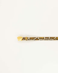 DIVILUZ Yellow Python - Belt