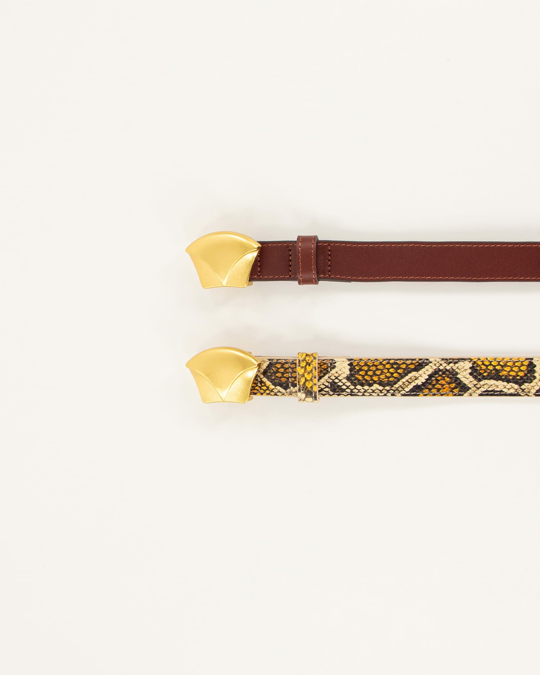 DIVILUZ Yellow Python - Belt