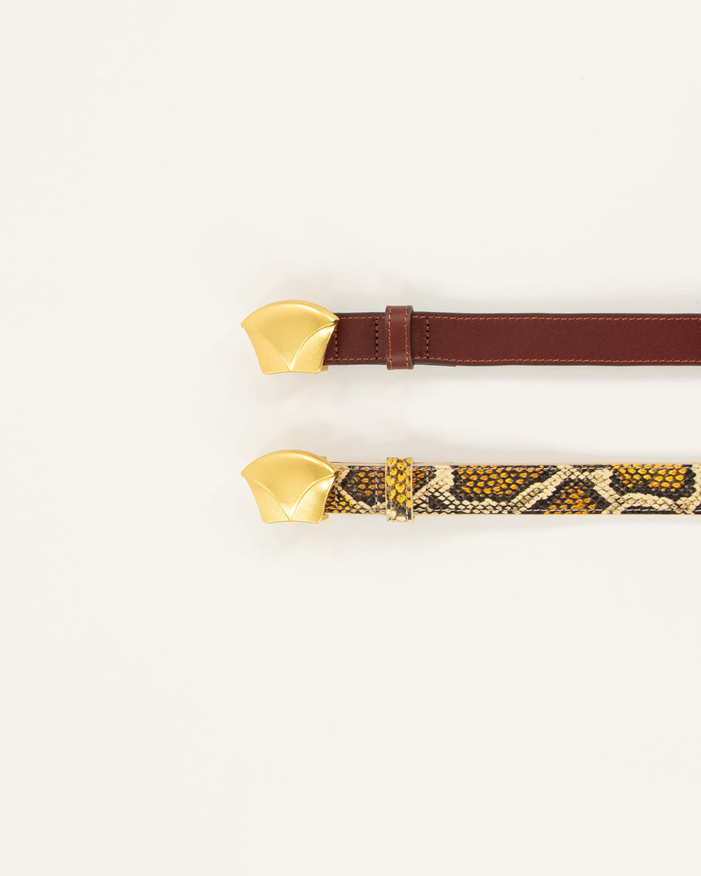 DIVILUZ Yellow Python - Belt
