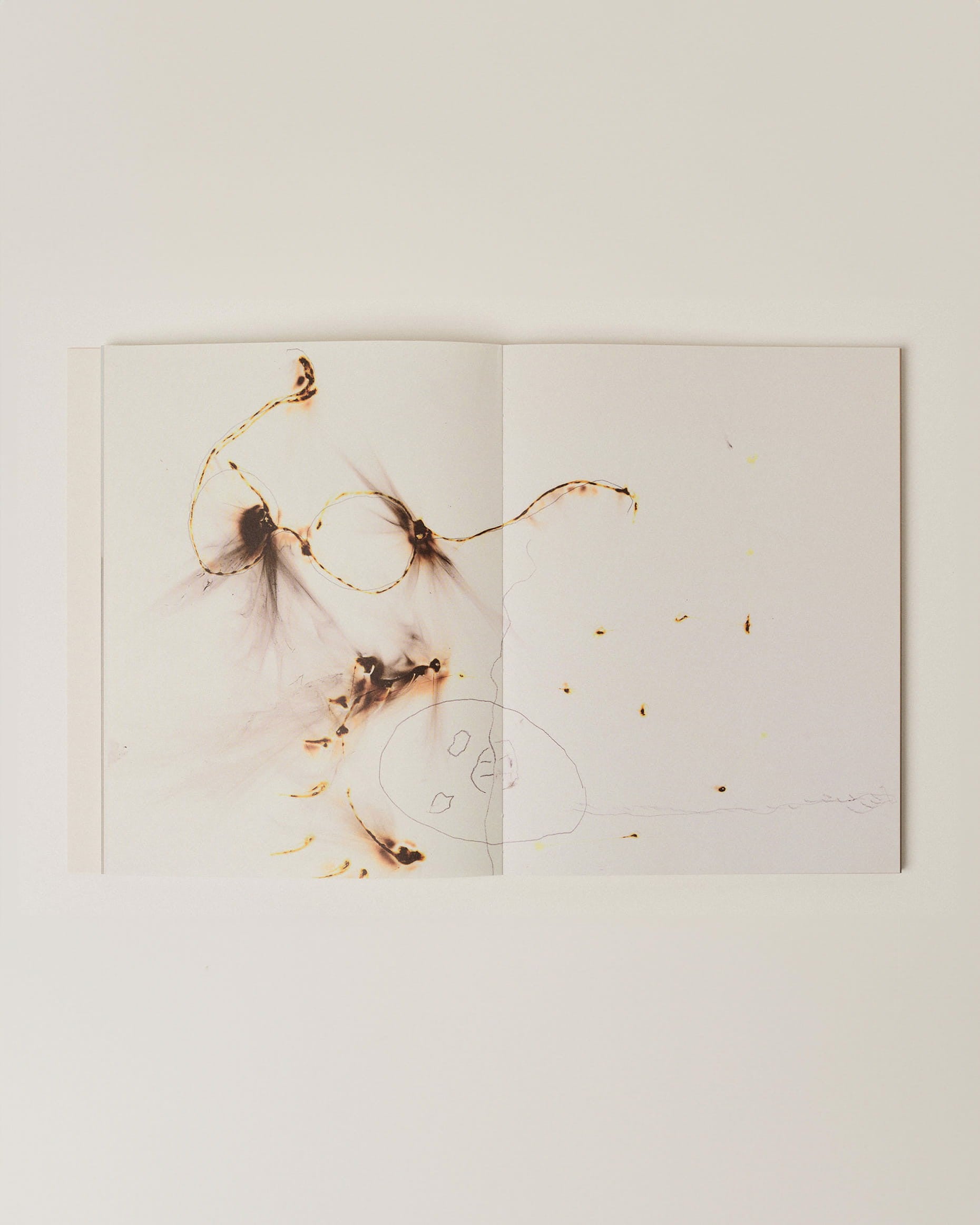 CASA IDEALE - Book