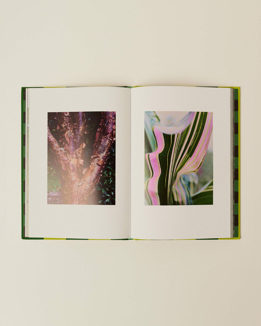 LE MANOIR AU QUAT'SAISONS - Book