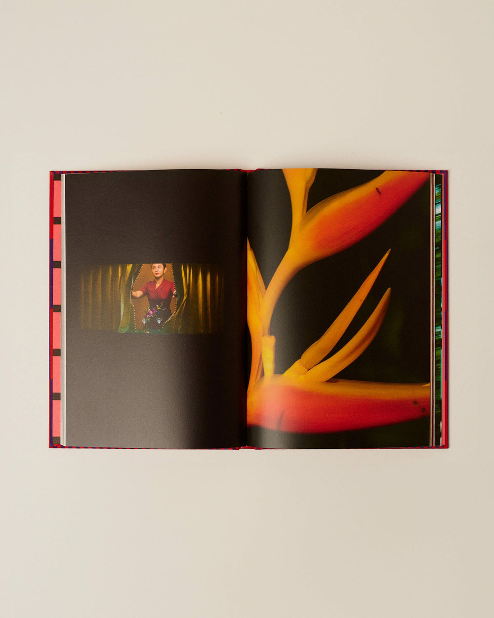EASTERN & ORIENTAL EXPRESS - Book