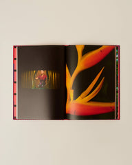 EASTERN & ORIENTAL EXPRESS - Book